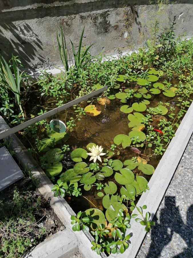 Il Giardino Di Elettra - Freeparking Aparthotel Genoa Luaran gambar